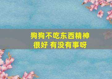 狗狗不吃东西精神很好 有没有事呀